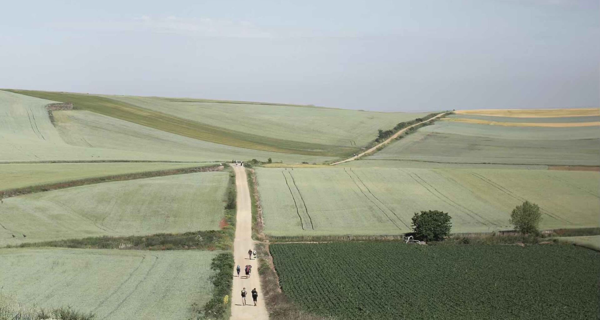 People walking along a track through the country on the Camino de Santiago pilgrimage