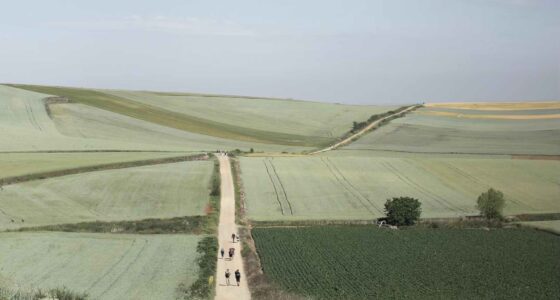 People walking along a track through the country on the Camino de Santiago pilgrimage