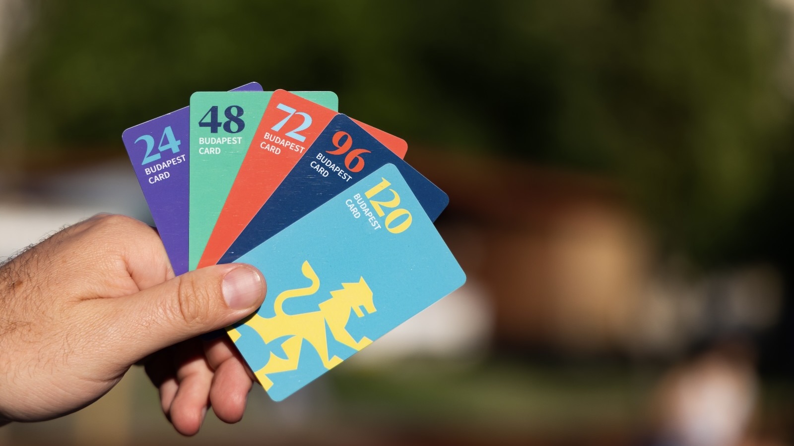 The Budapest Cards in hand