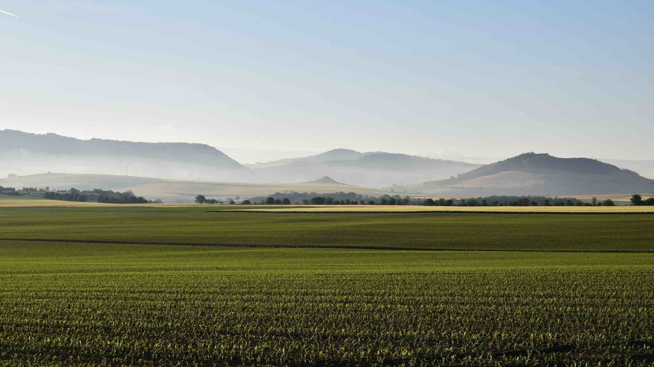 The author’s pursuit of Coco led him to beautiful Auvergne (Photo: Patrick Busson / Unsplash)